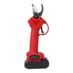 WHIZZPRUNER